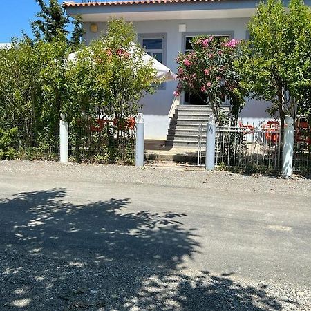 Guest house Andersoni Dhoma plazhi Andersoni Shen Ded Gjoni Extérieur photo